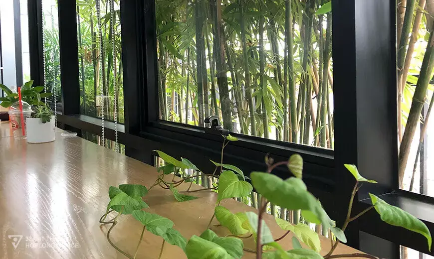 Giải pháp không gian xanh