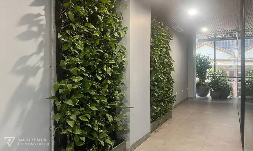 Trang thiết bị sân vườn tiểu cảnh