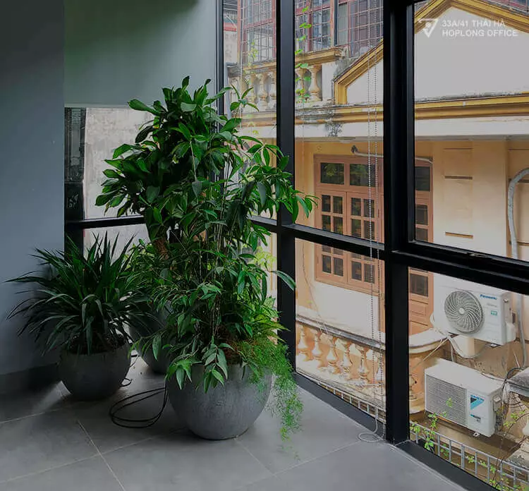 Tư vấn thiết kế nội thất