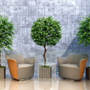 5 loại cây xanh mang Thần tài ghé thăm nhà bạn!