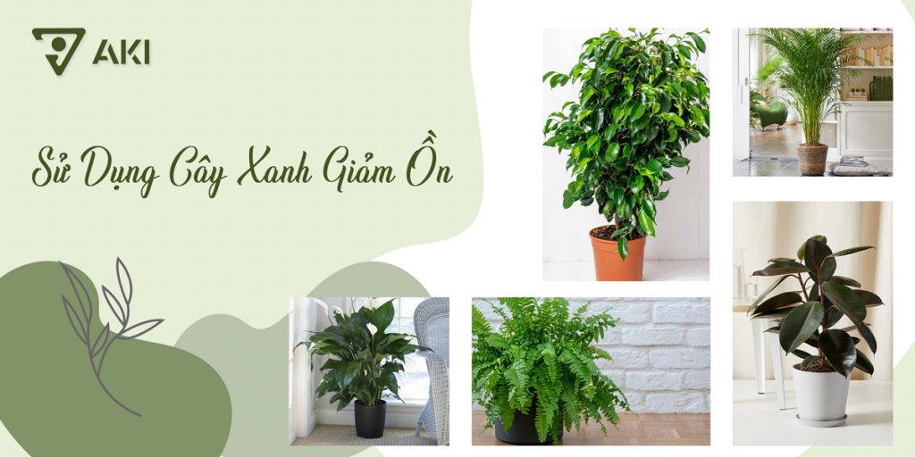 Tối Ưu Cách Âm Cho Phòng Livestream Chuyên Nghiệp Của Aki